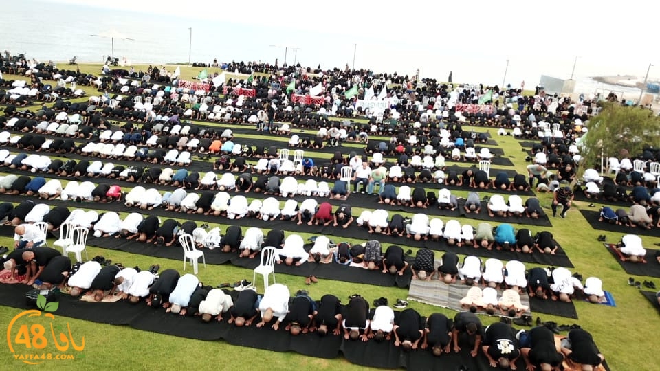 WhatsApp Image 2023-06-28 at 11.33.43 AM (2).jpeg